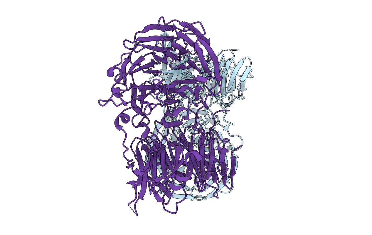 5N1A image