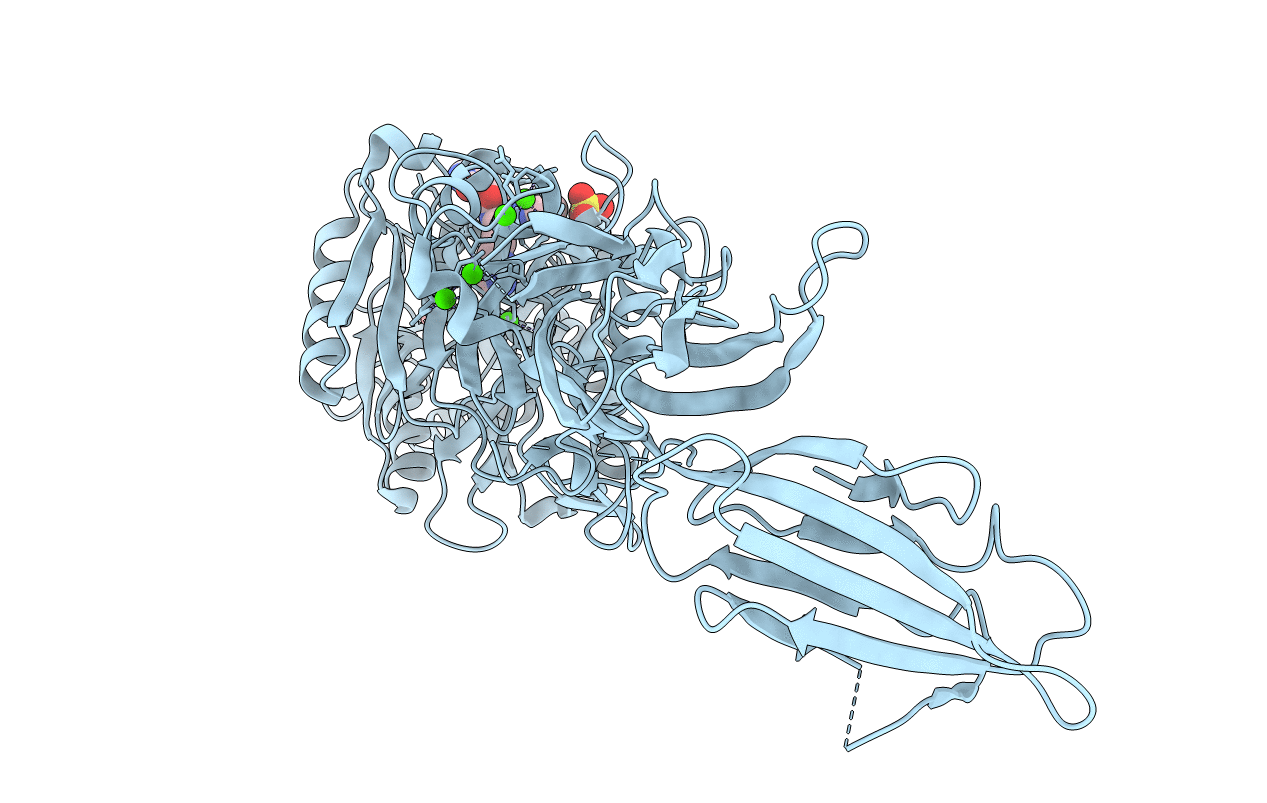 5N1B image