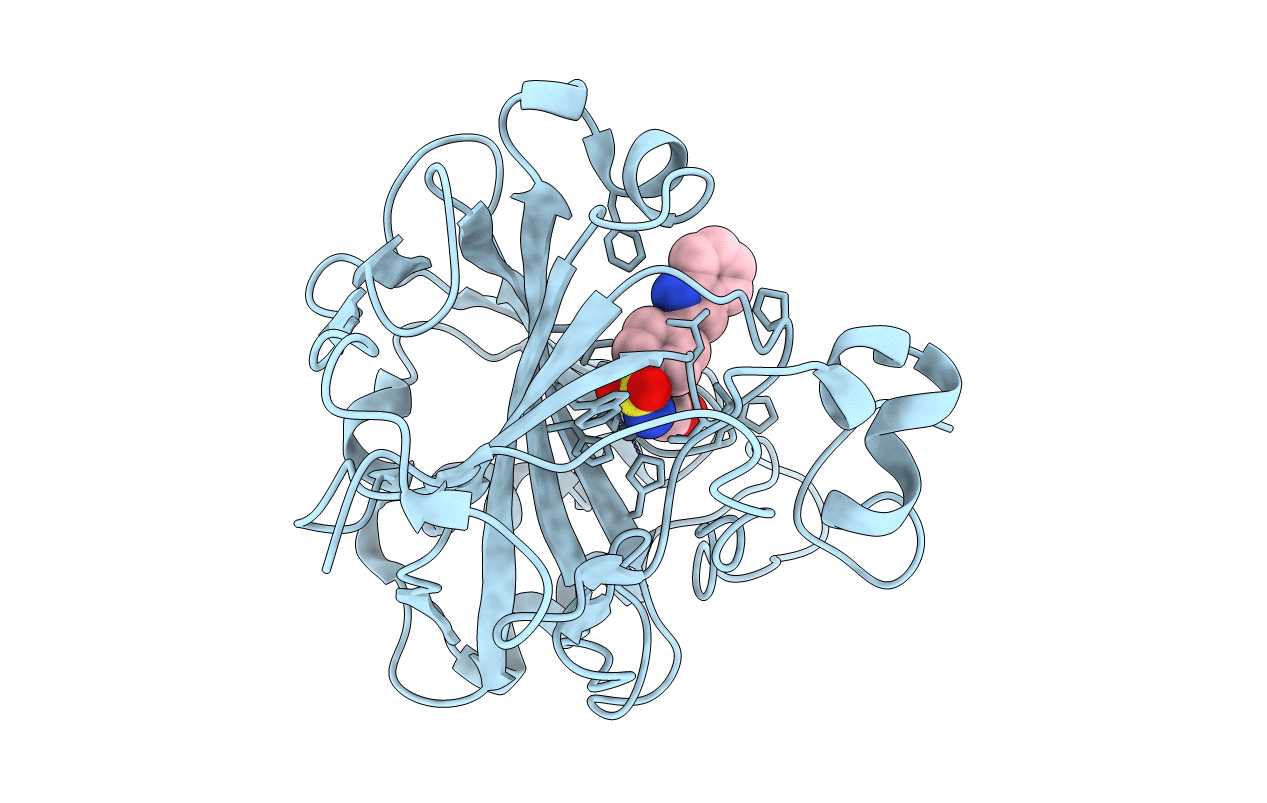 5N1S image