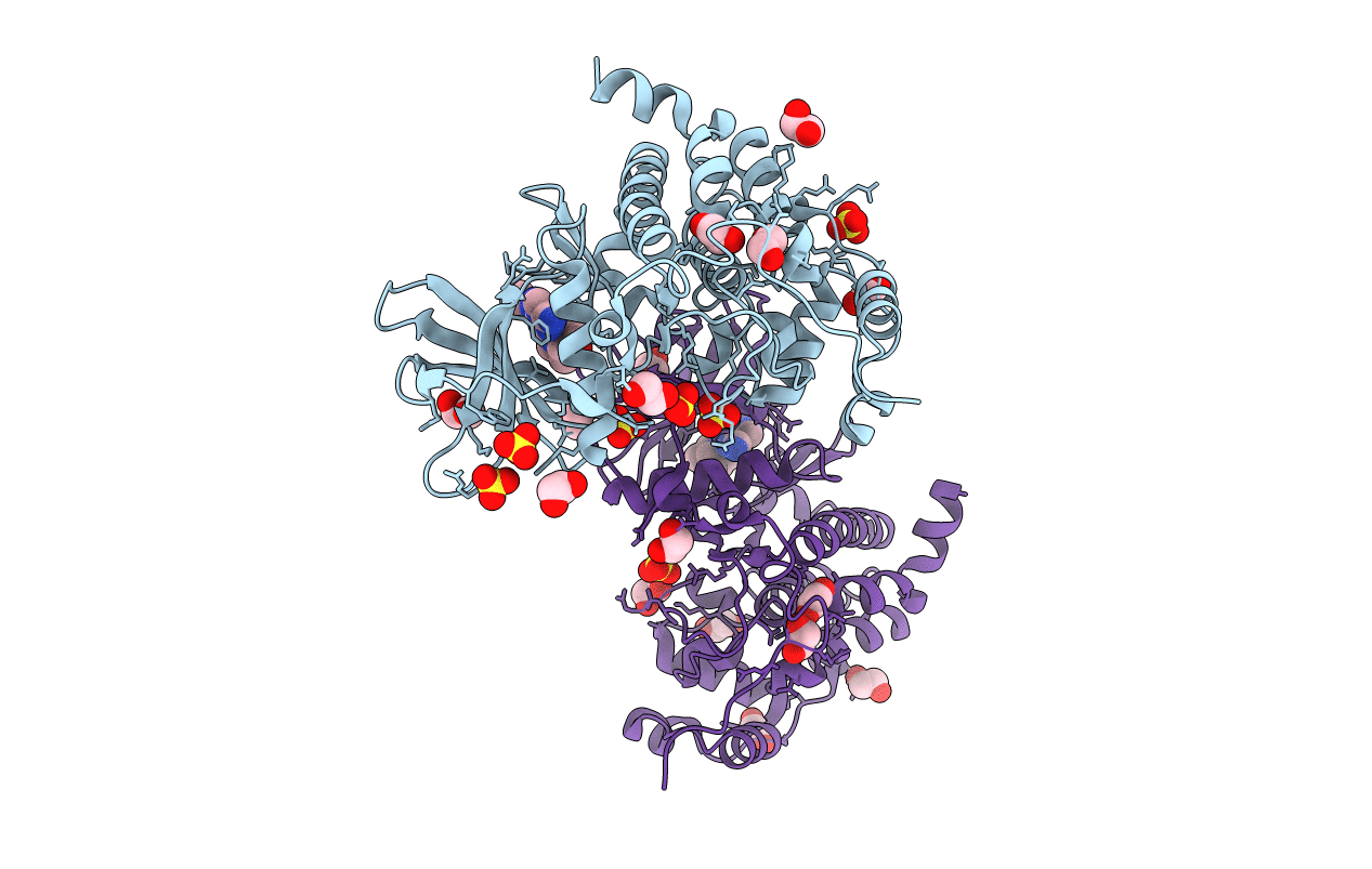 5N1V image