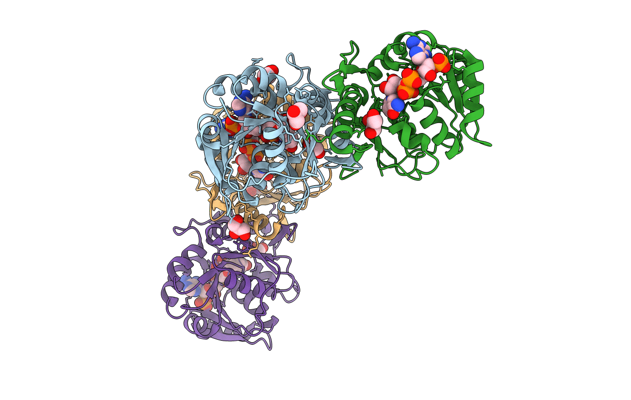 5N2I image