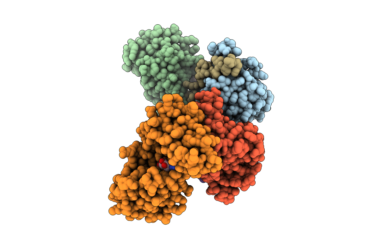 5N2V image