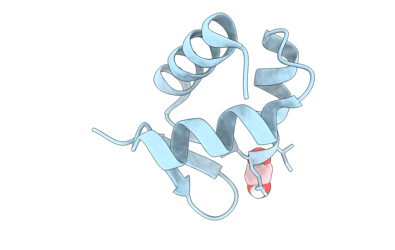 5N41 image