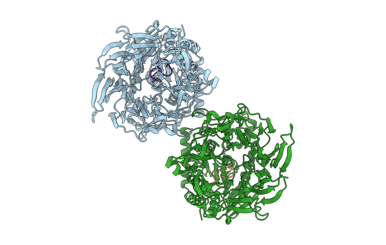 5N4B image