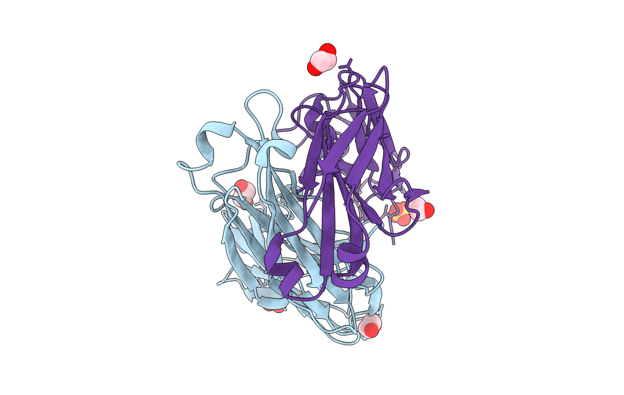 5N4G image