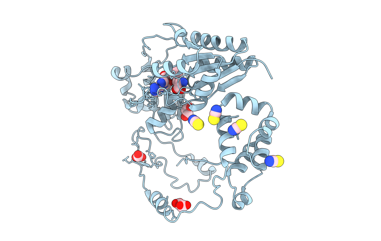 5N4I image