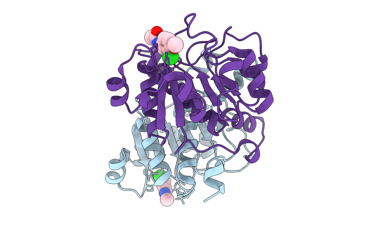 5N53 image