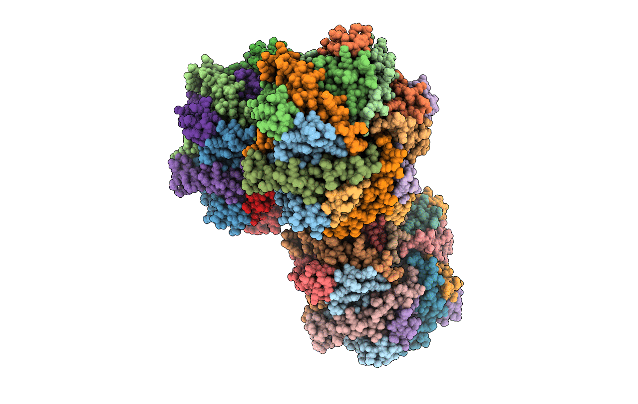 5N5E image