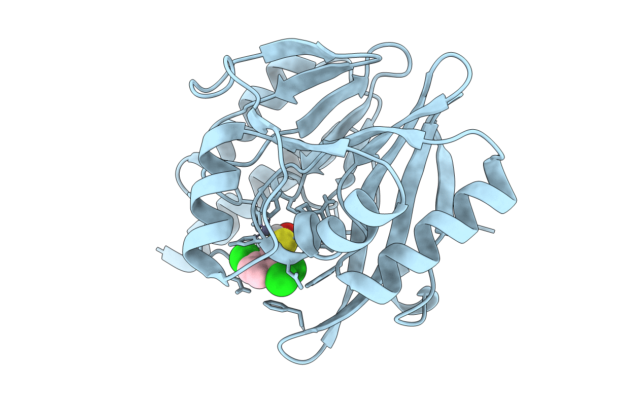 5N5H image