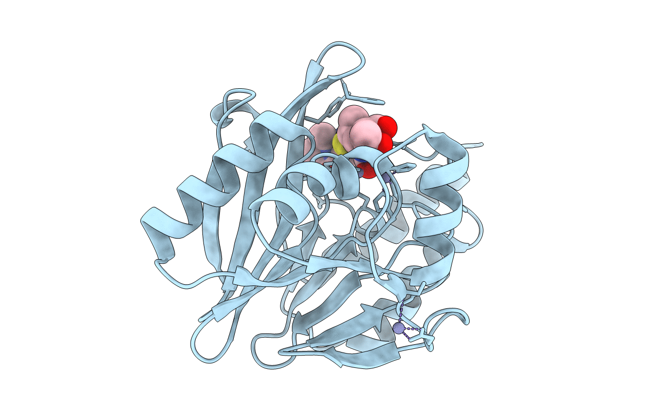 5N5I image
