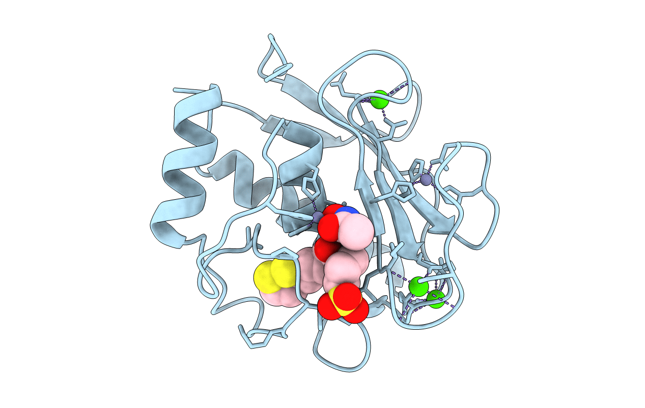 5N5J image