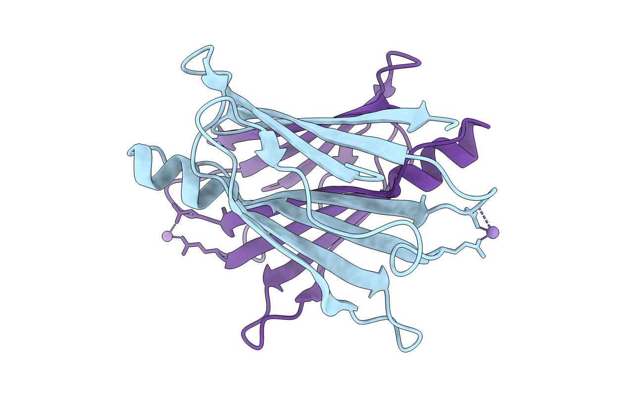 5N62 image