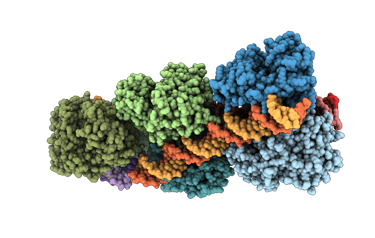 5N6I image
