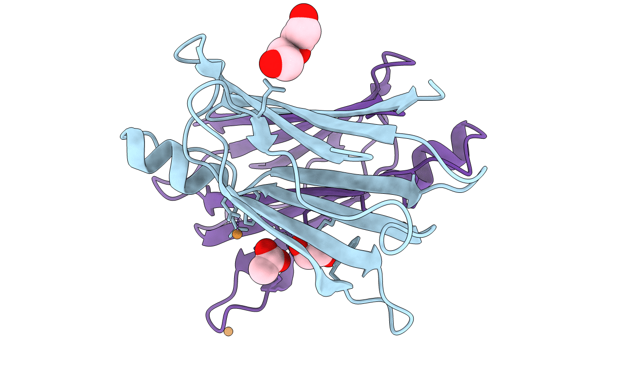 5N7C image