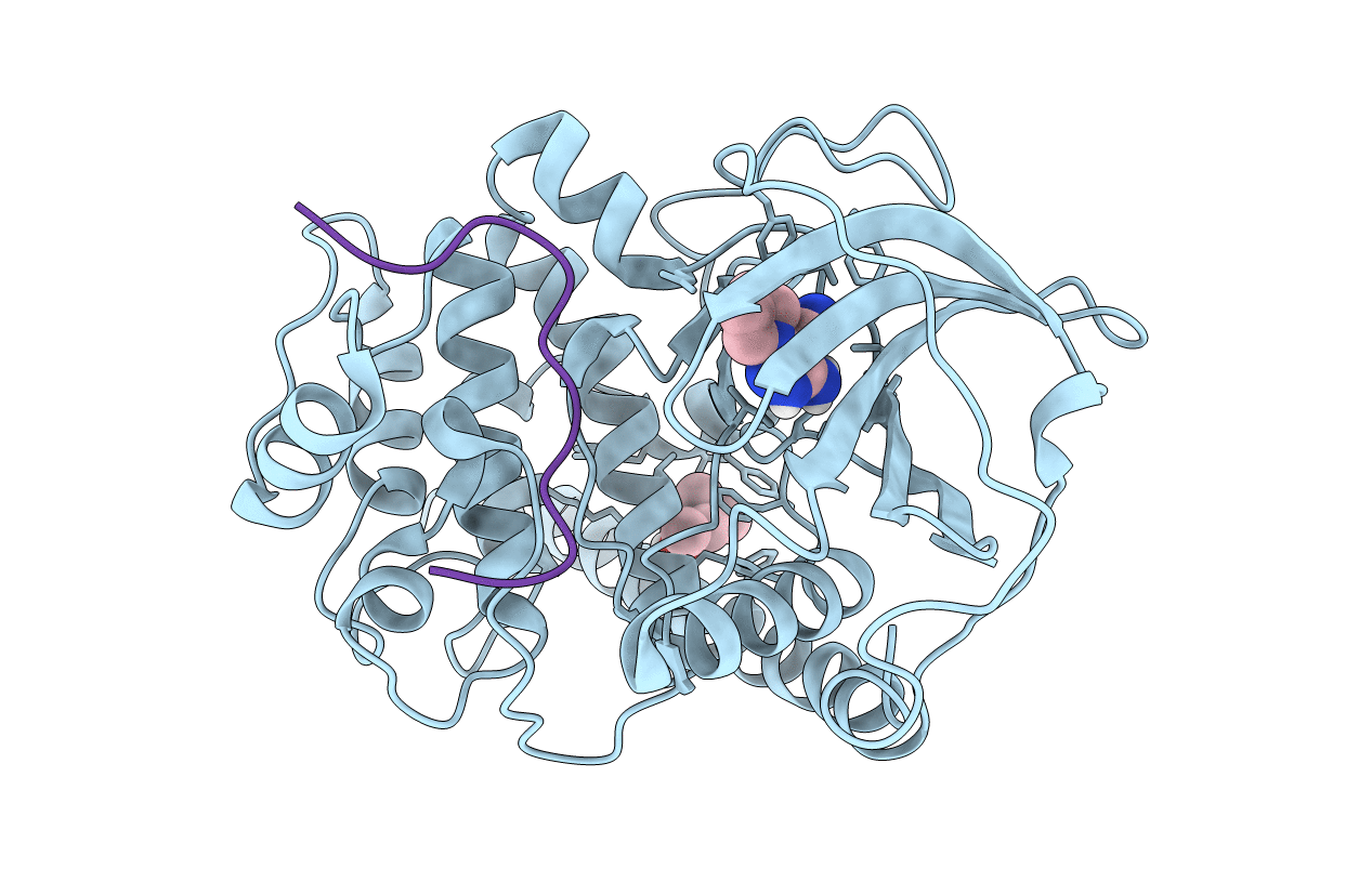 5N7P image