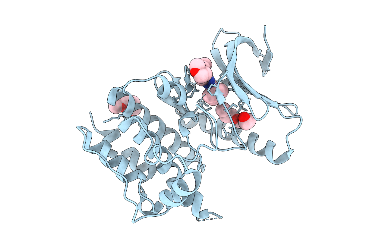 5N7V image