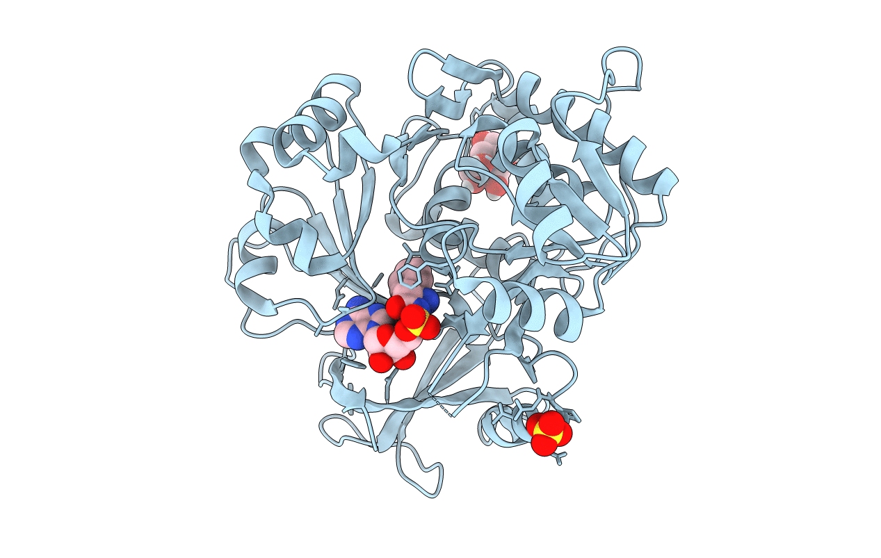 5N82 image