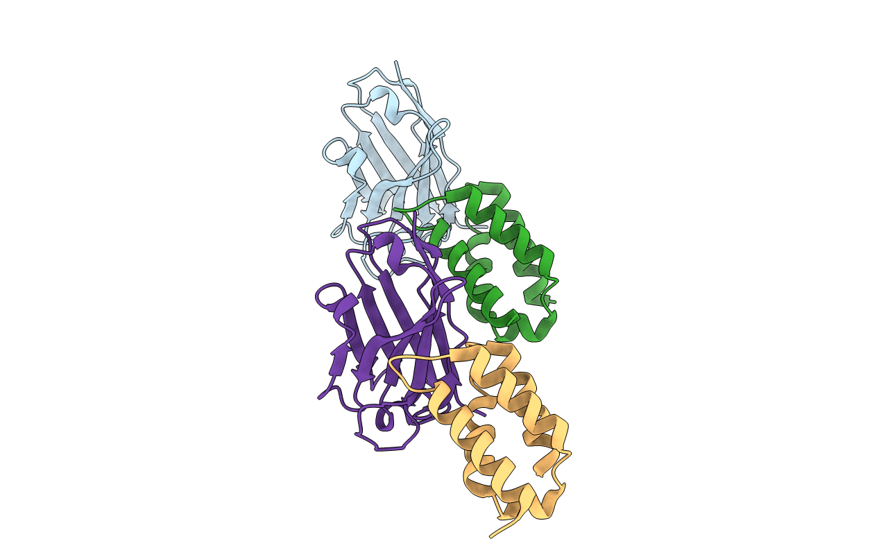 5N88 image