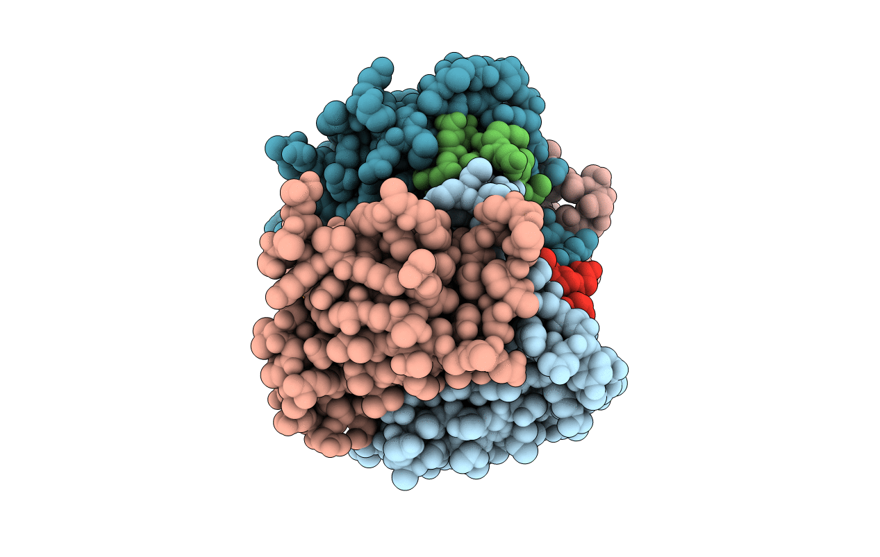 5N8B image