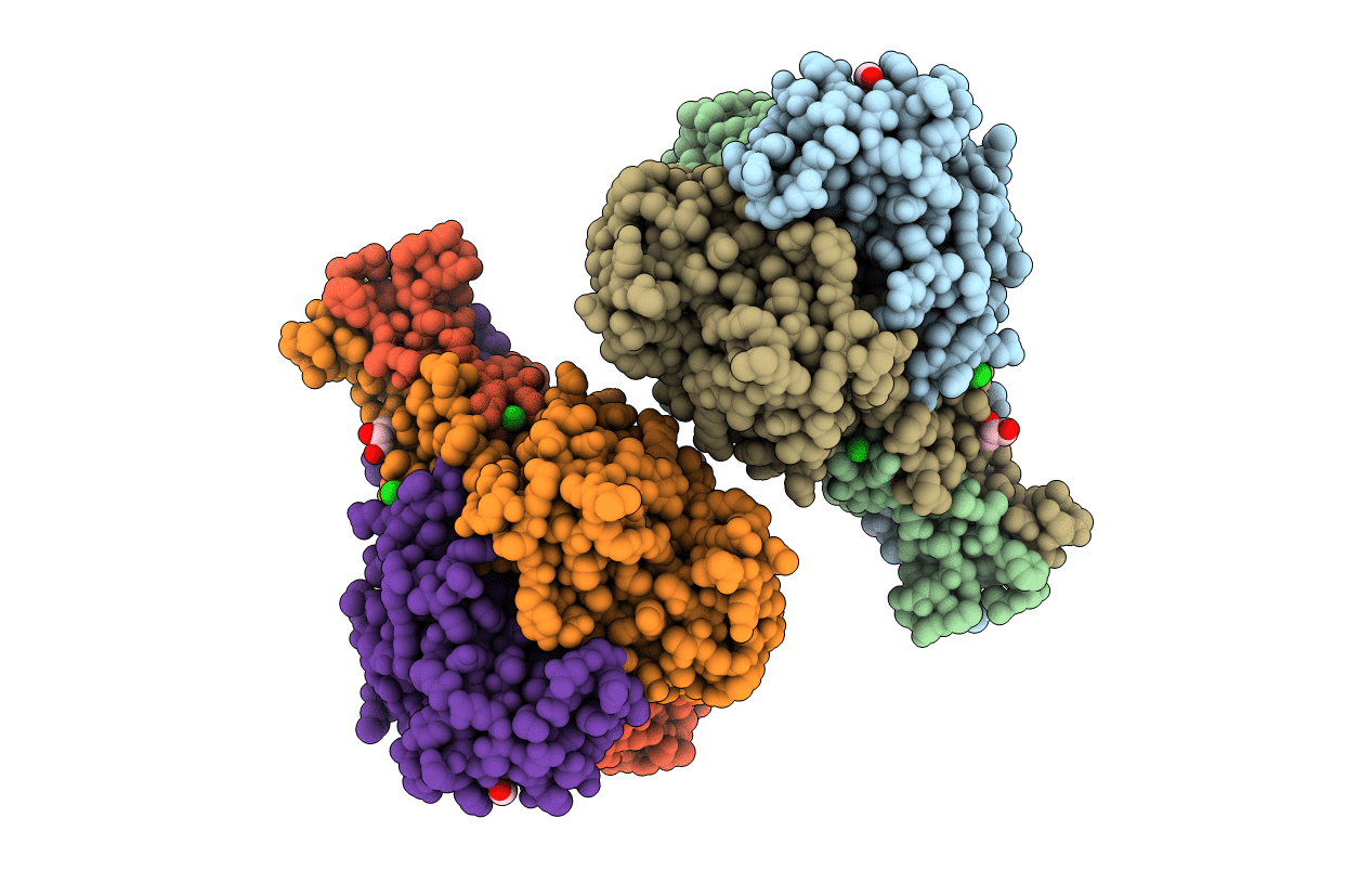 5N8D image