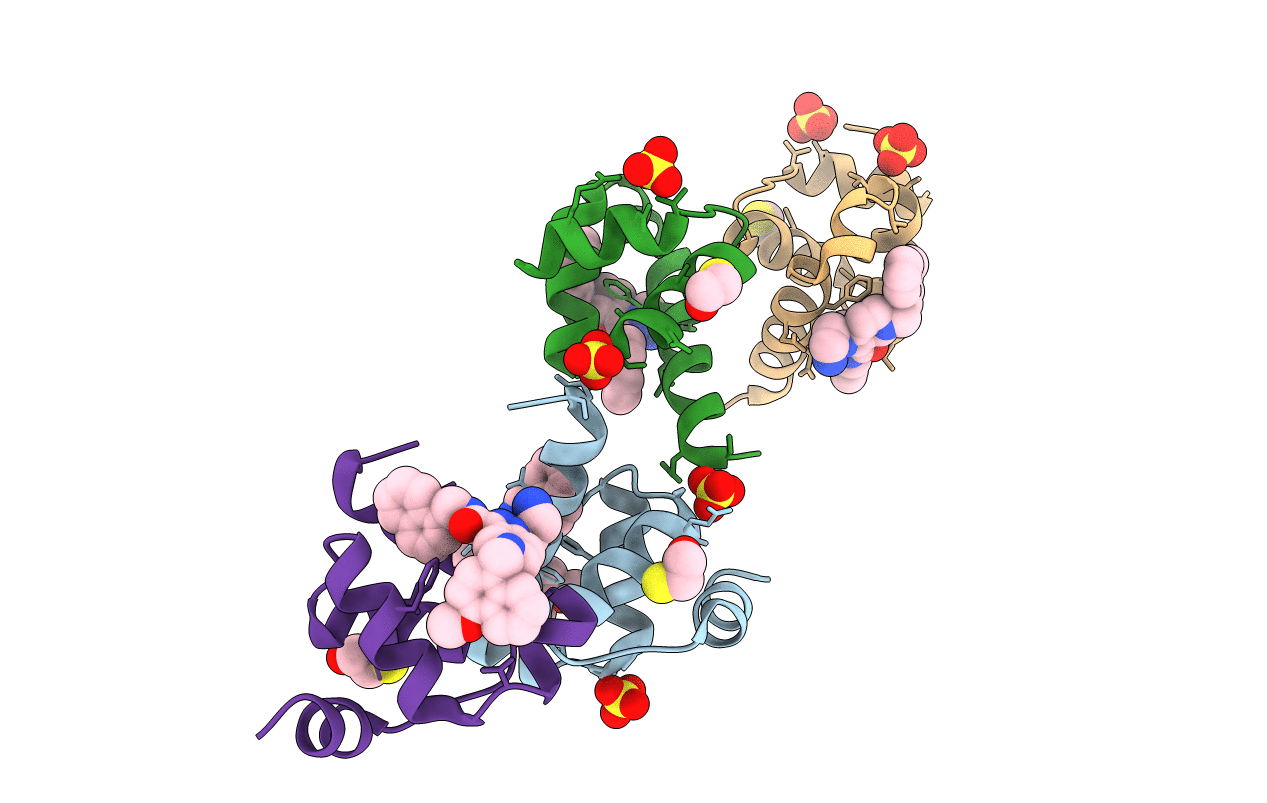 5N8V image