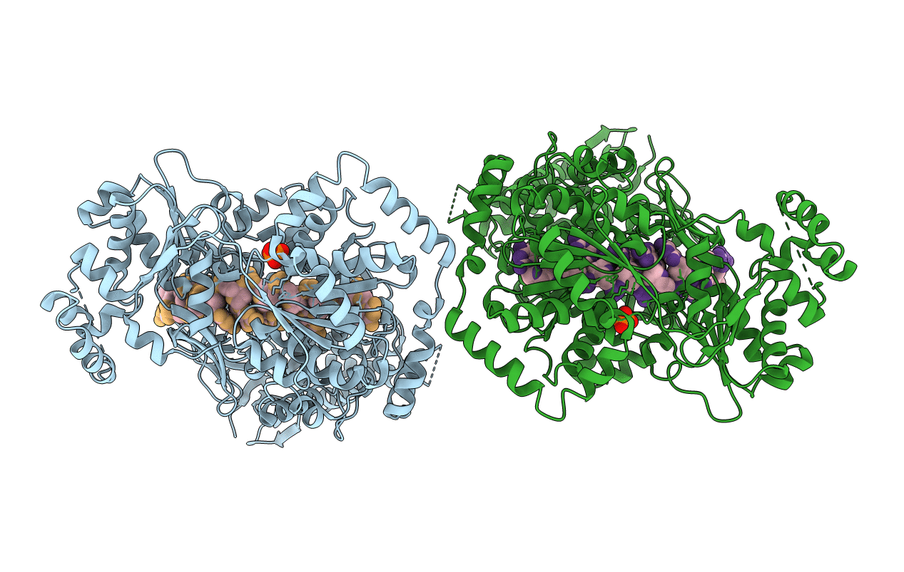 5N90 image