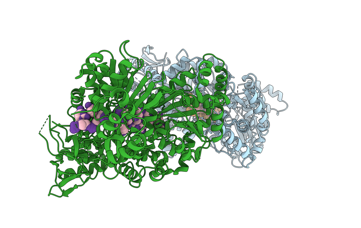 5N94 image