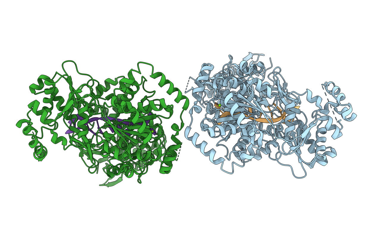 5N96 image