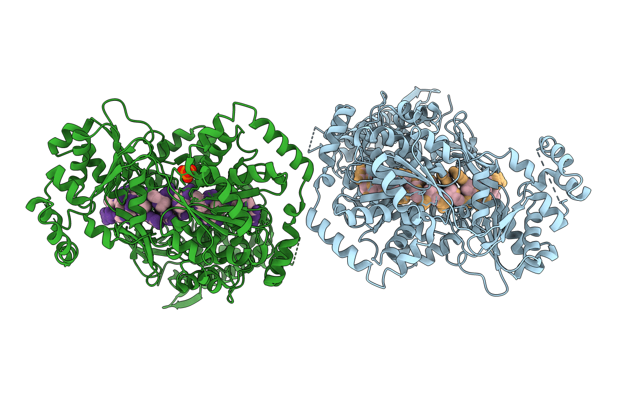 5N98 image