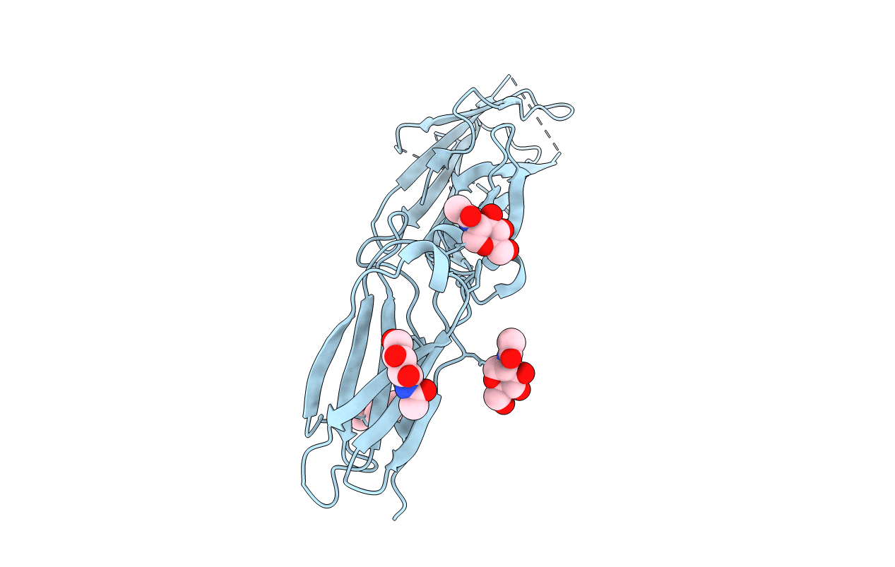 5N9B image