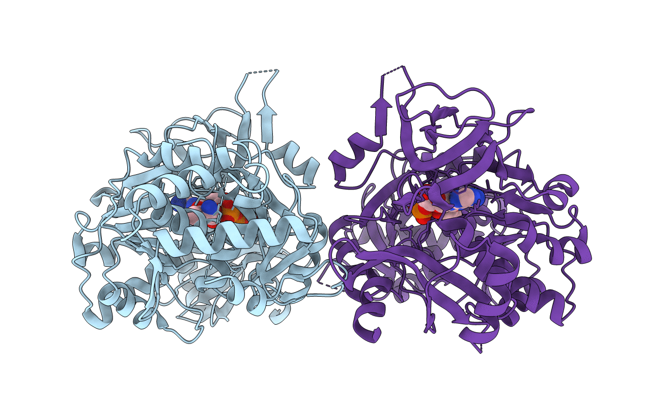5N9X image