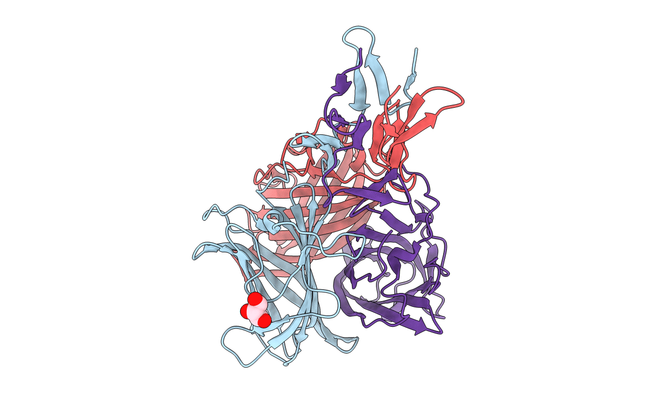 5NBH image