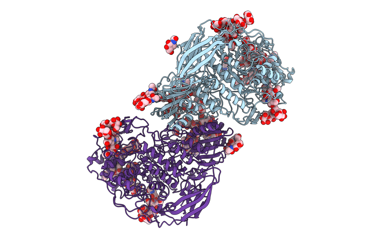 5NBS image