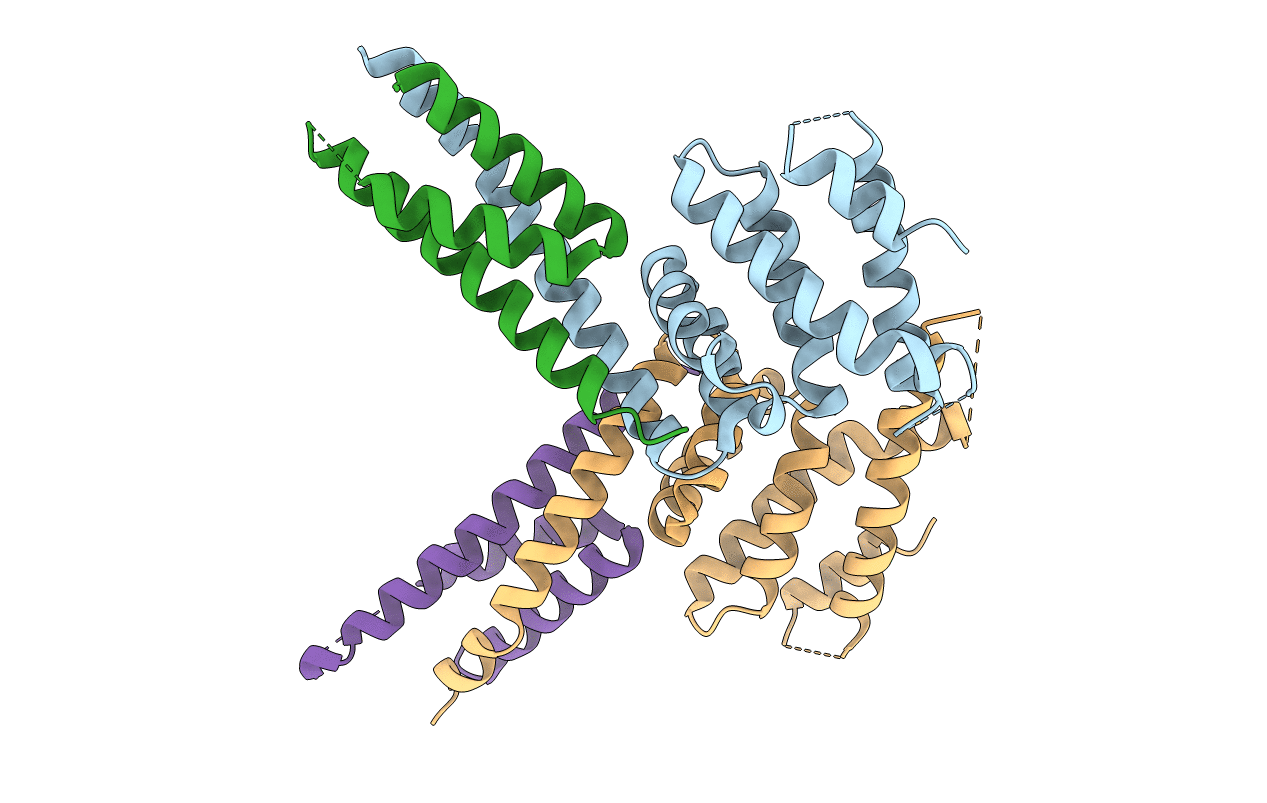 5NBT image