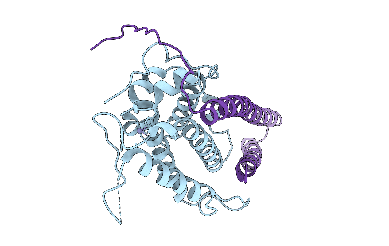 5NCM image