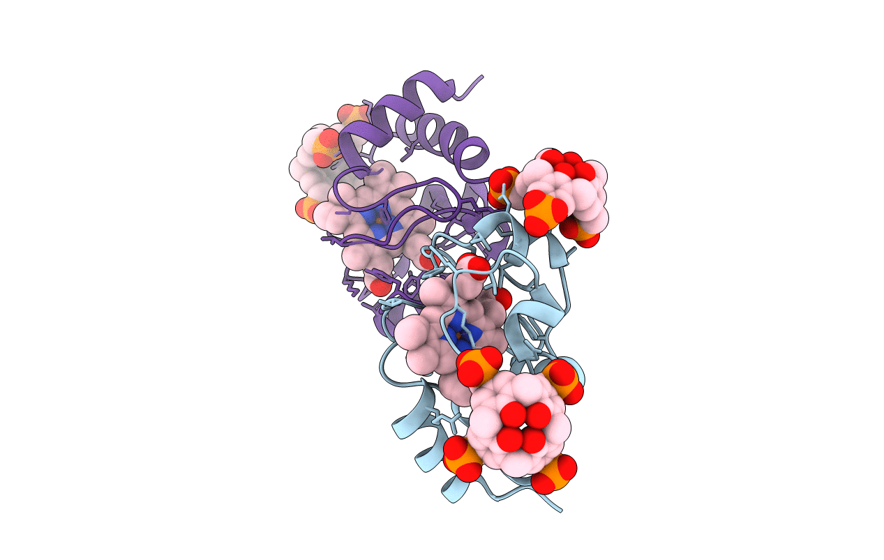 5NCV image