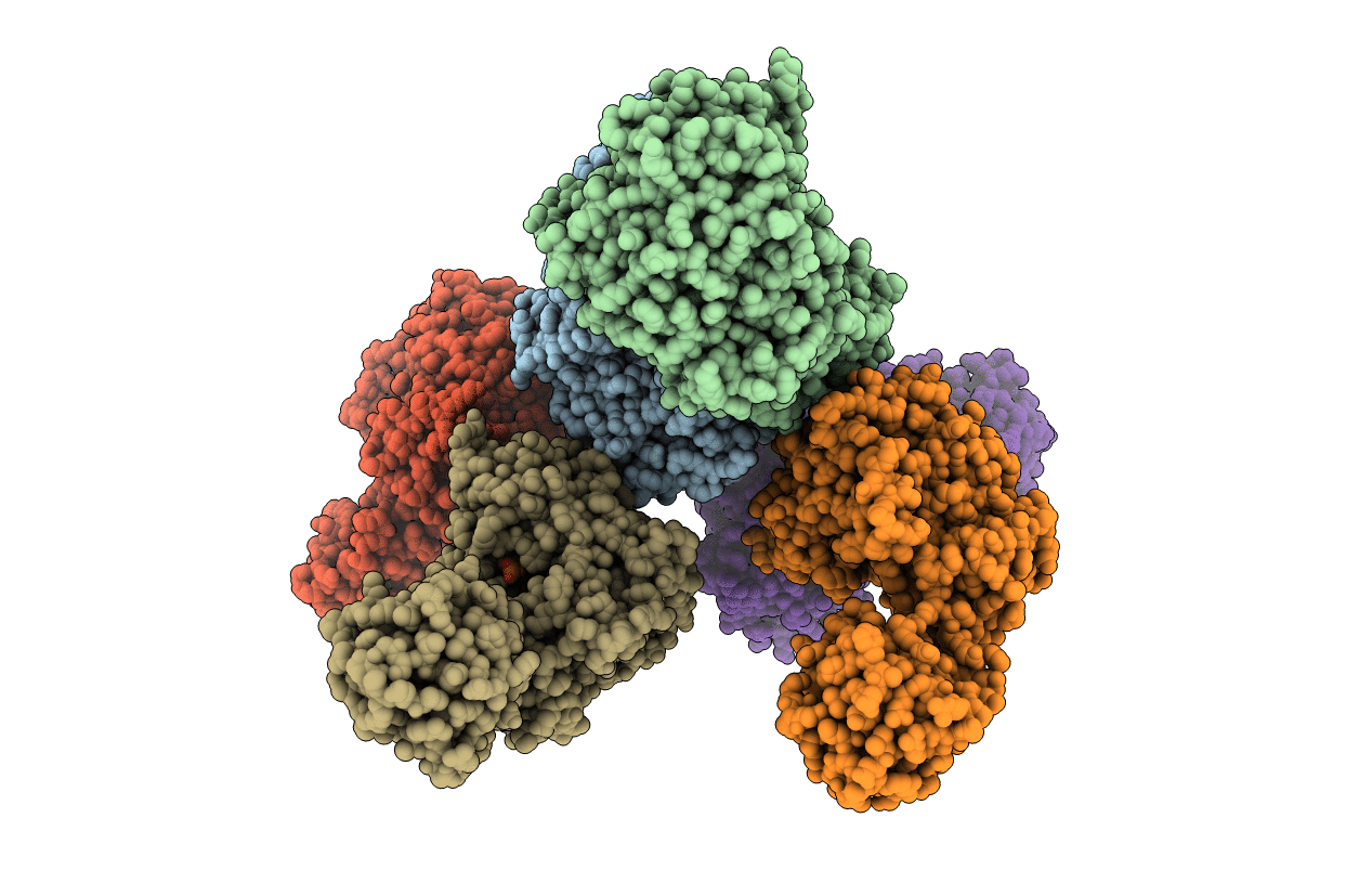 5NDF image