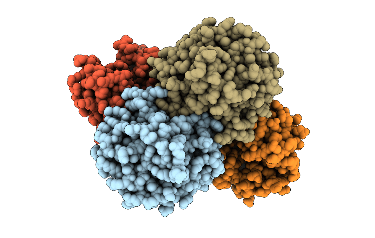 5NF1 image