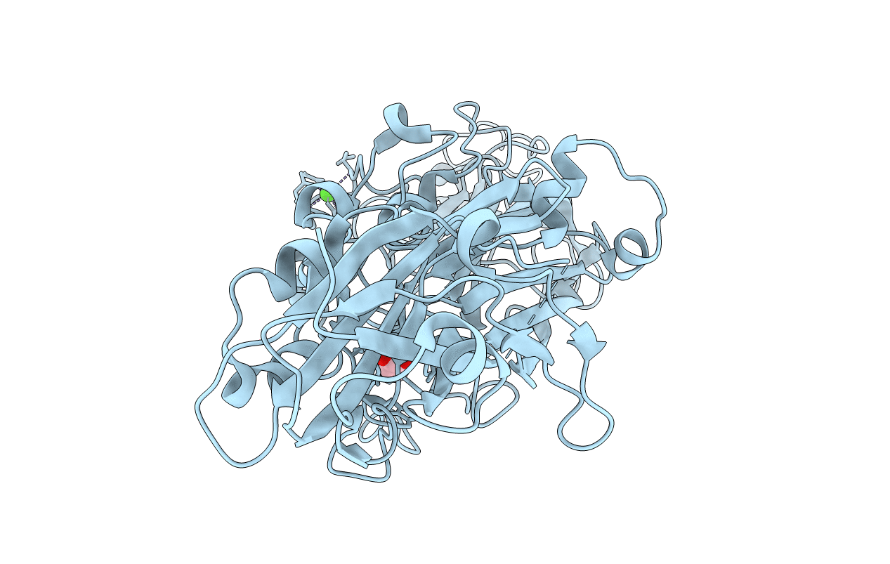 5NF3 image