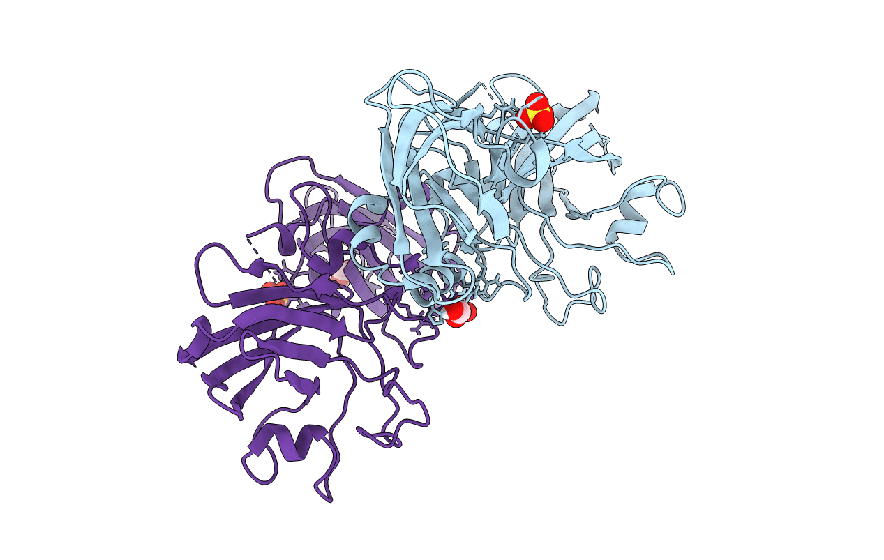 5NF4 image