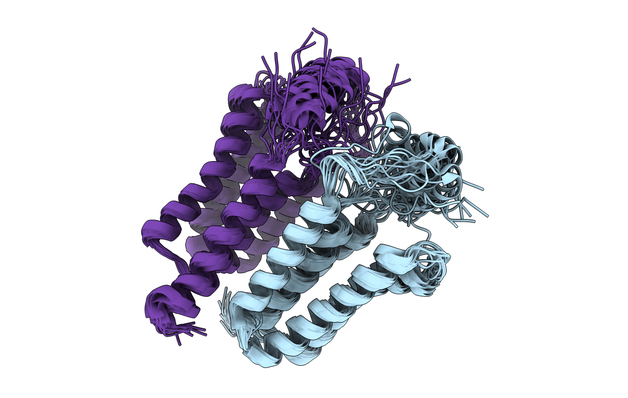 5NF8 image