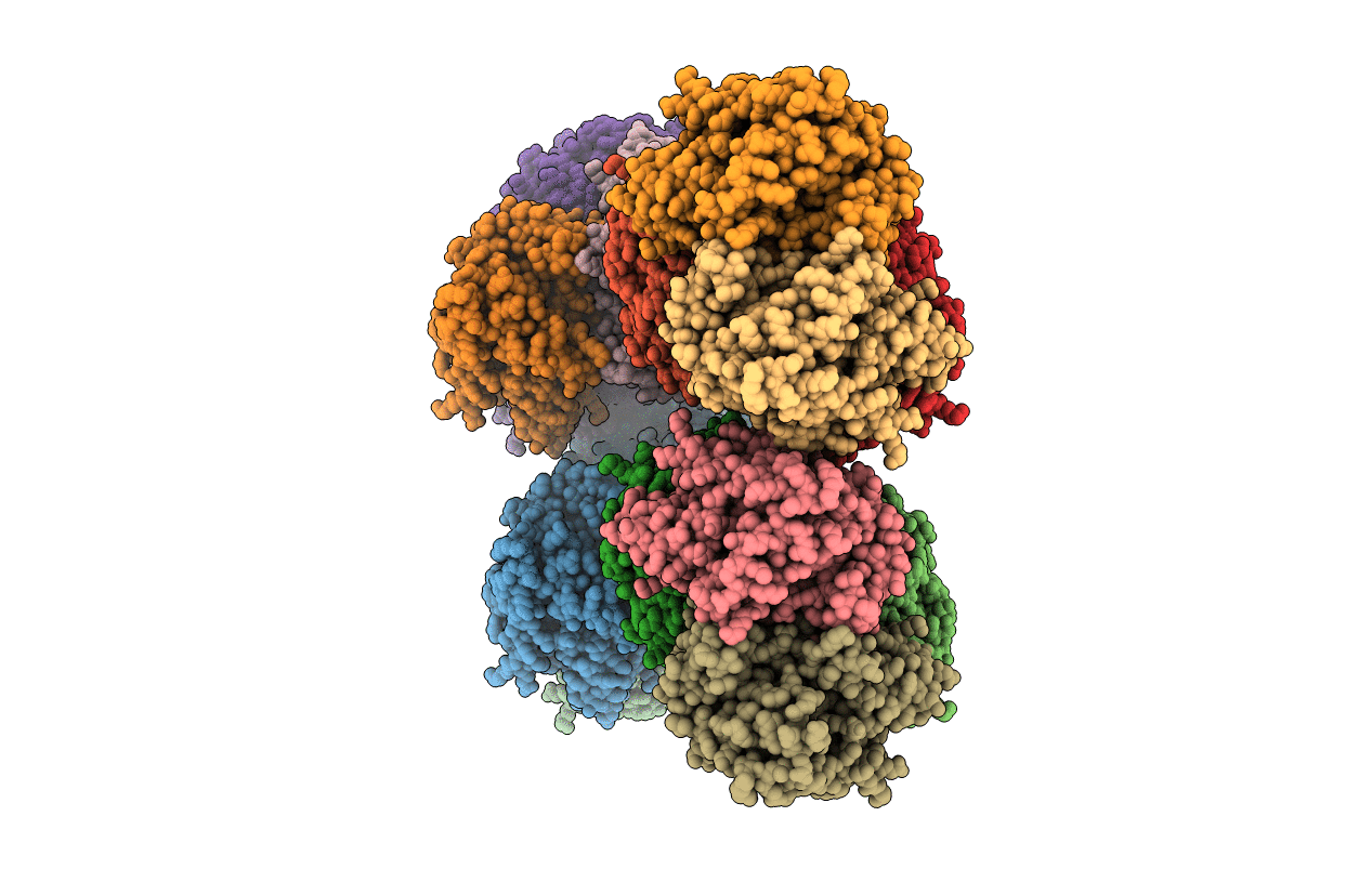 5NFR image
