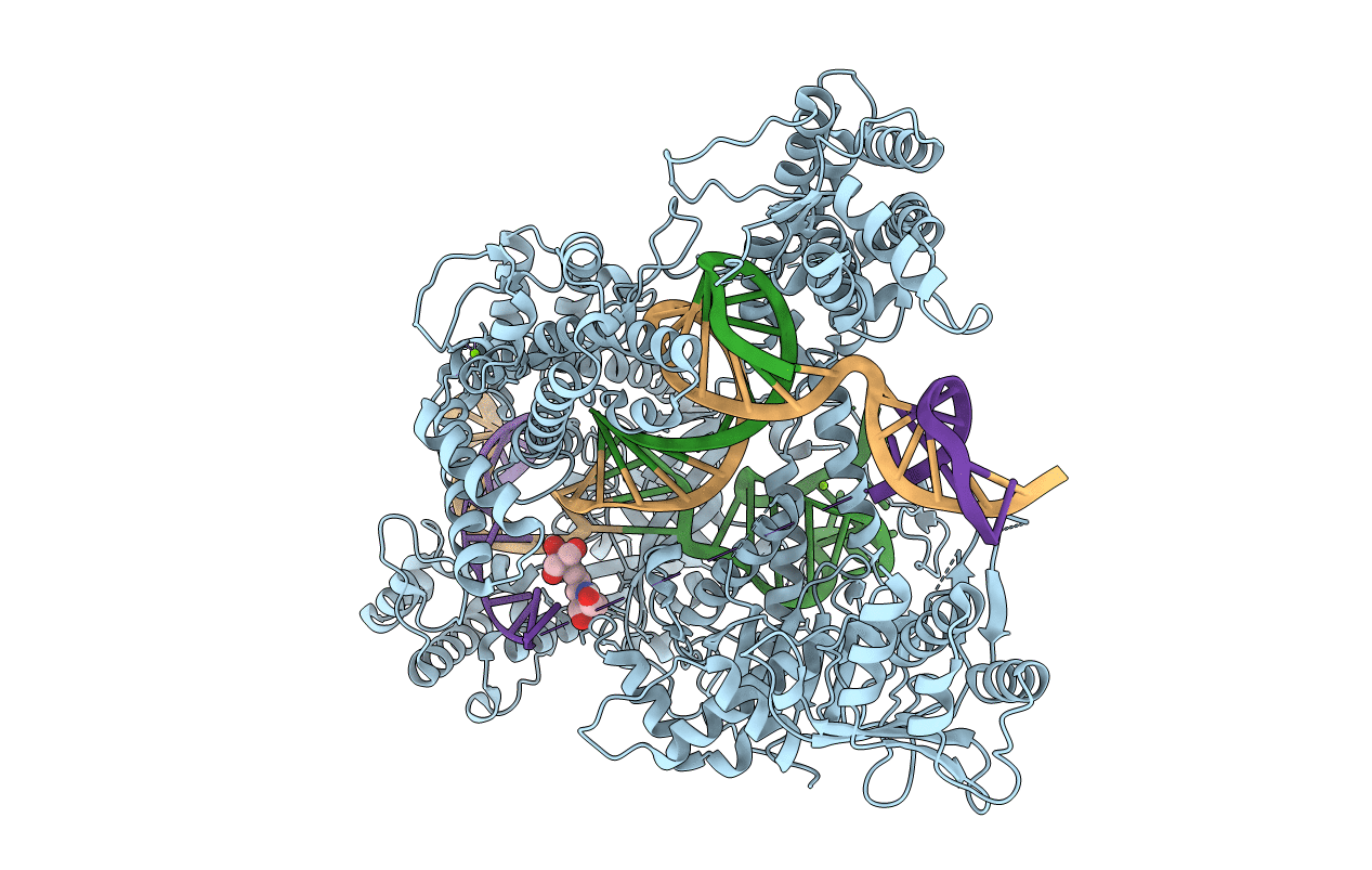 5NFV image