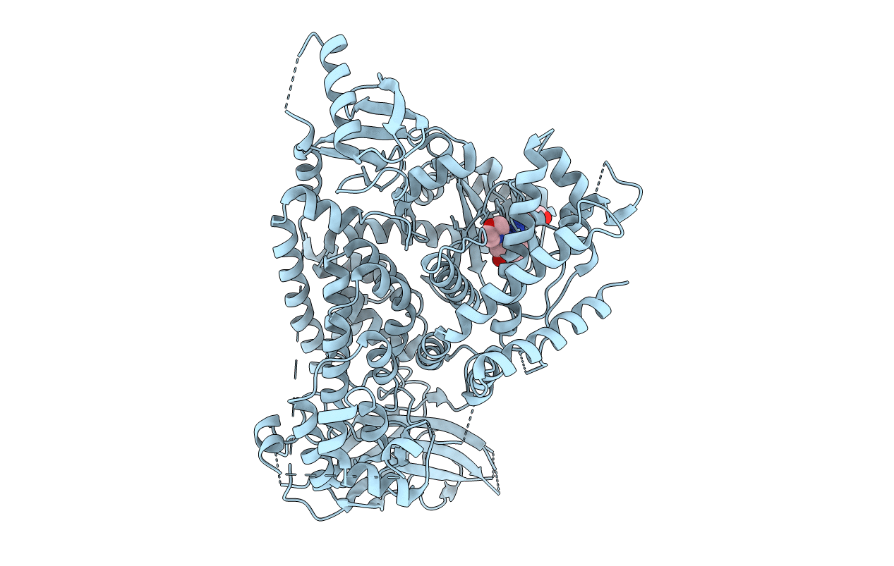 5NGB image