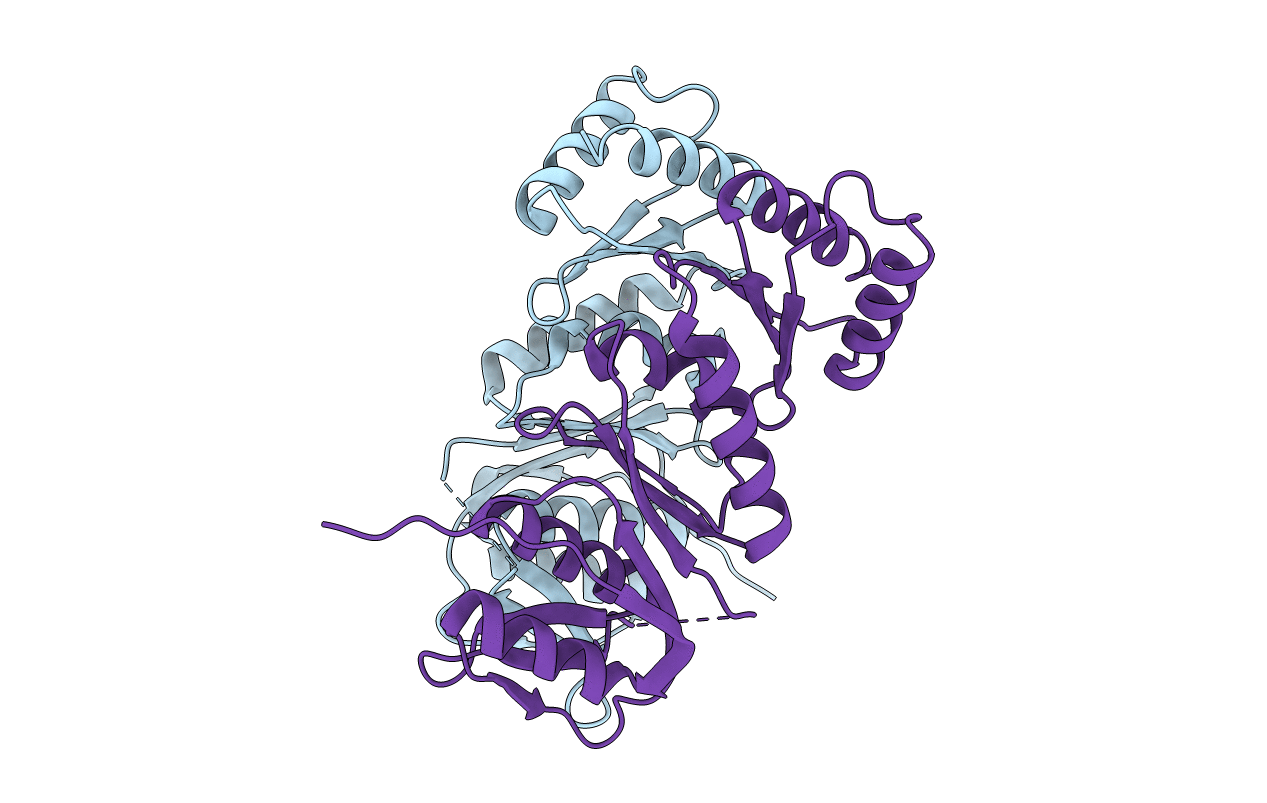 5NGI image