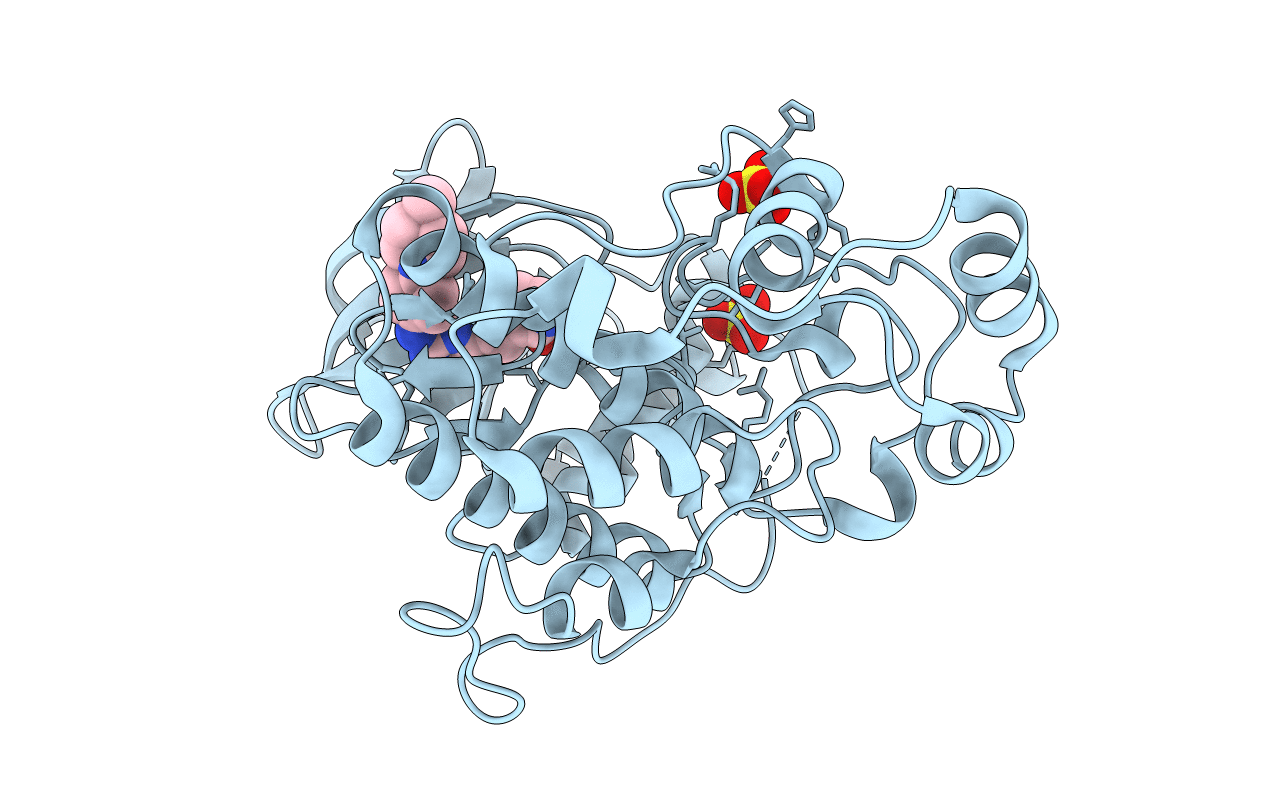 5NGU image