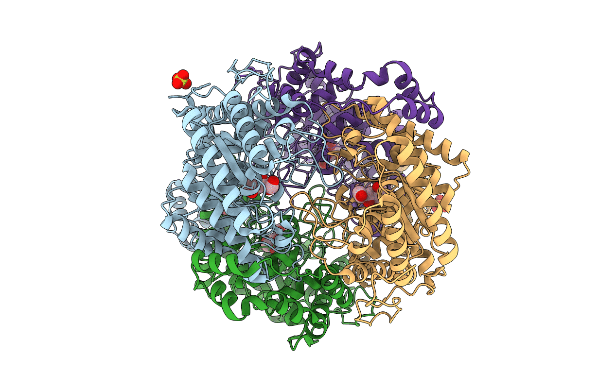 5NHA image