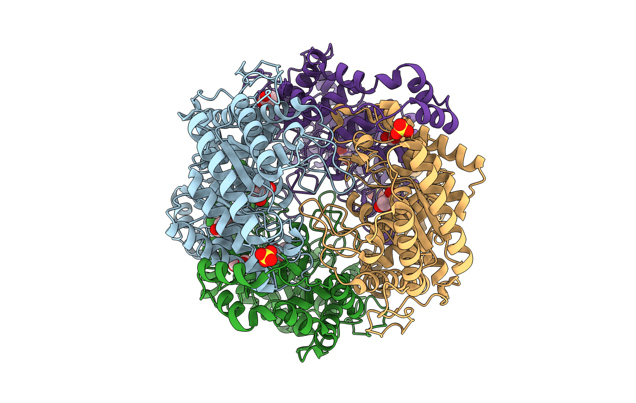 5NHM image