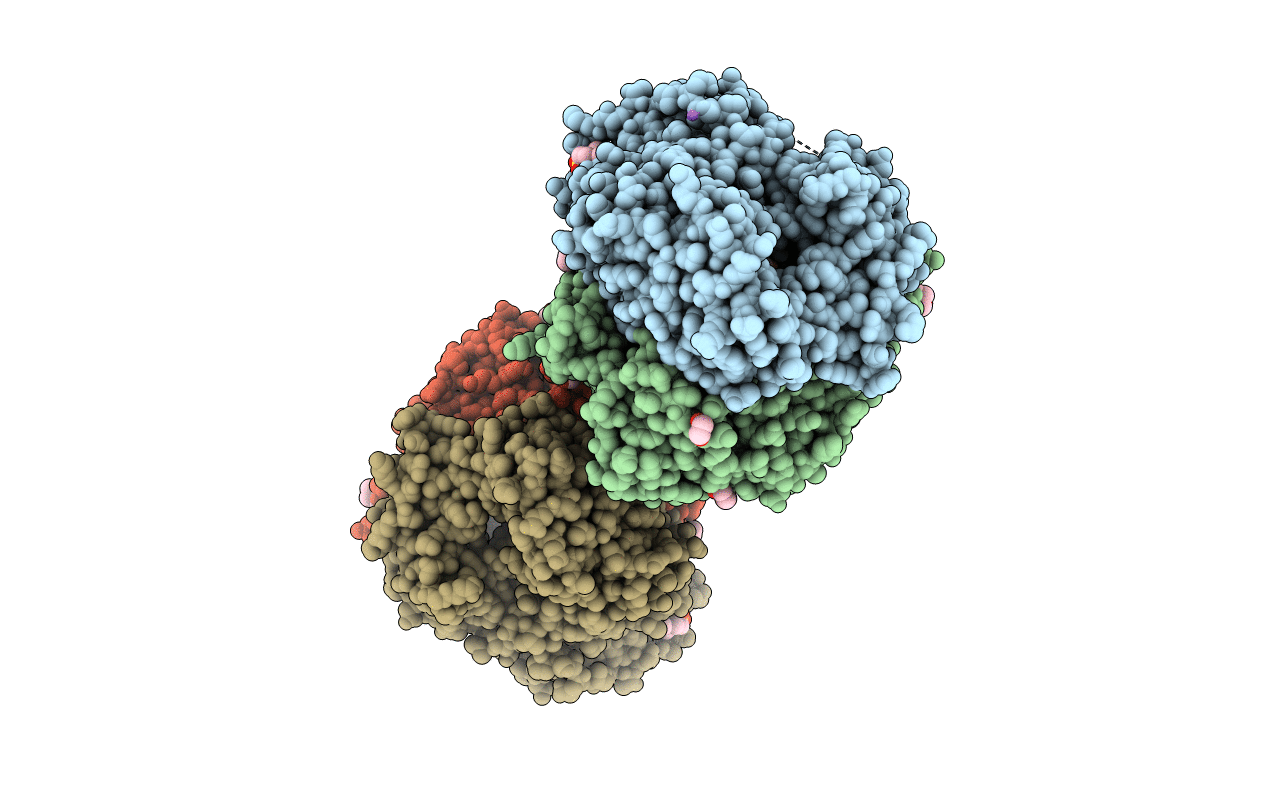 5NJF image
