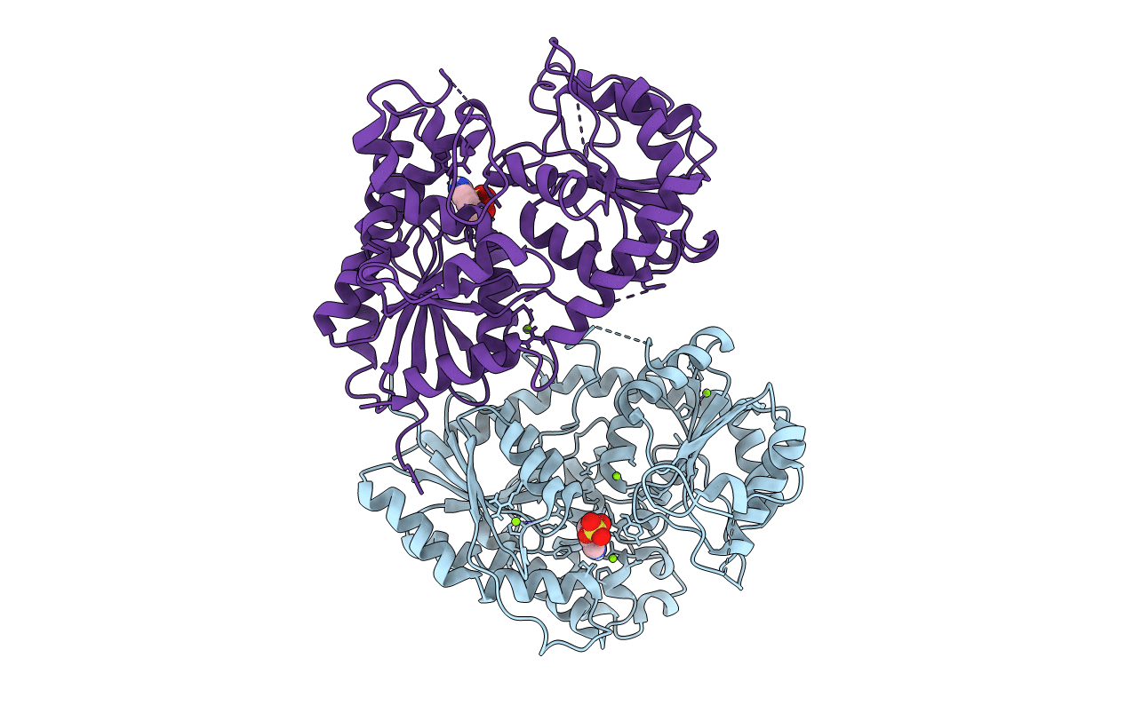 5NLM image